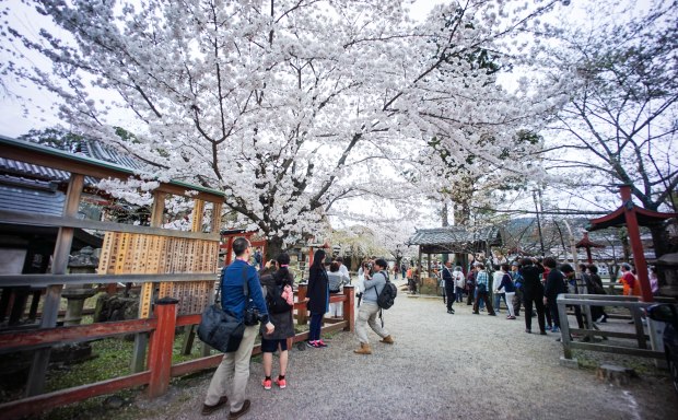 Himuro Shrine 氷室神社