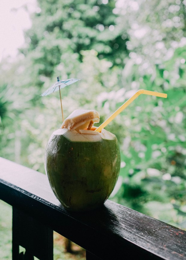 No. 6 Restaurant Patong Phuket Coconut Juice