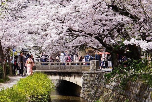 kyoto-philosophers-path