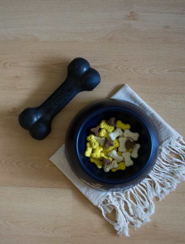 kohepets-food-and-toy