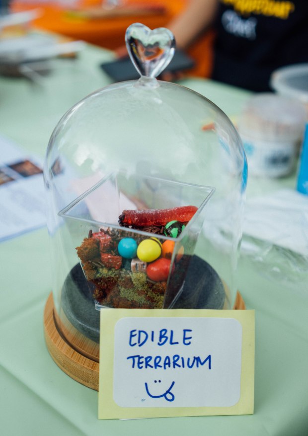 artbox_edibleterrarium2