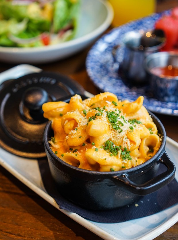 the-southern-bird-table-and-bar-macroni-and-cheese