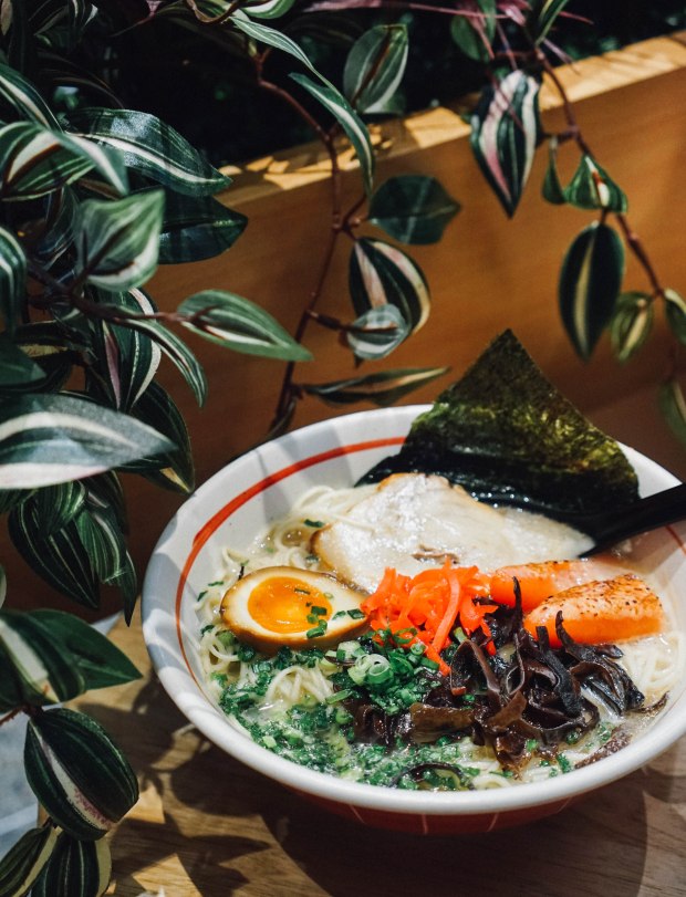 men-ichi-hakata-mentaiko-tonkotsu-ramen