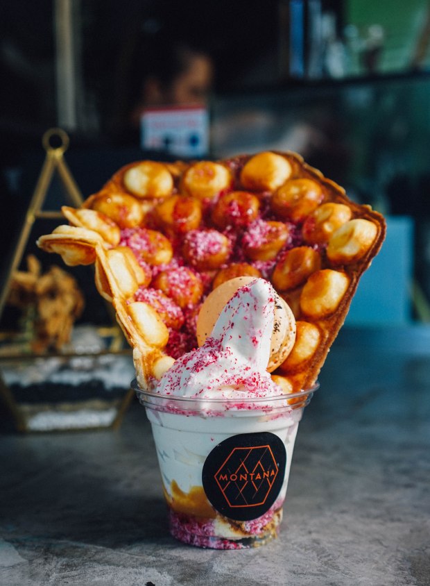 montana-mao-shan-wang-durian-soft-serve