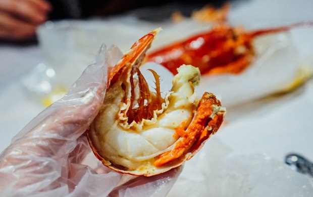 the-boiler-boston-lobster-3