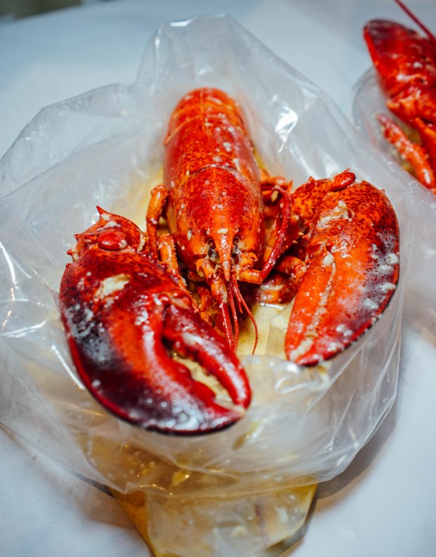 the-boiler-boston-lobster