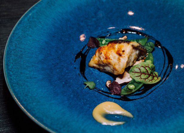 rizu-miso-marinated-black-cod