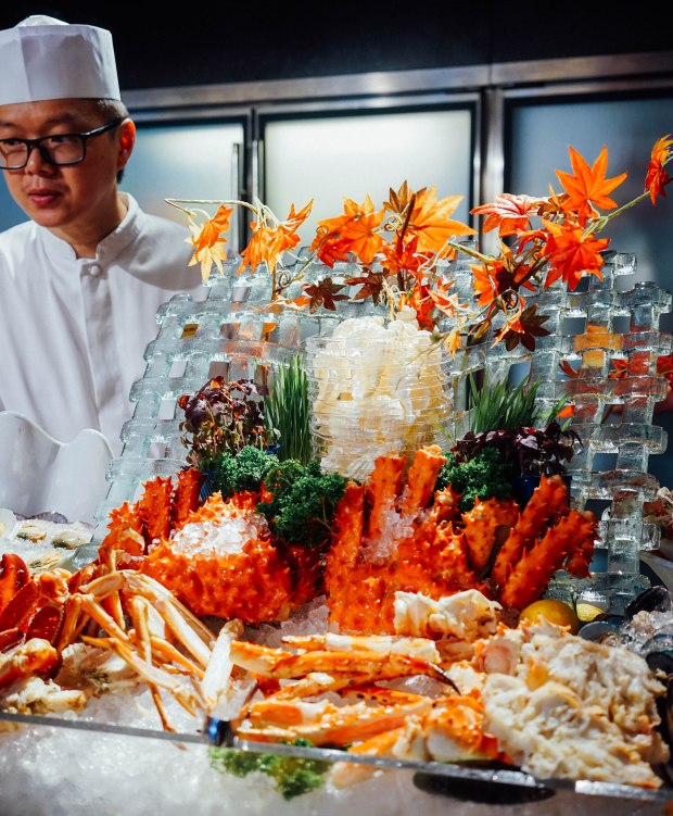 triple-three-mandarin-orchard-hokkaido-harvests-2