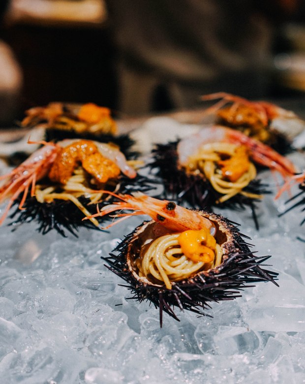 triple-three-mandarin-orchard-hokkaido-harvests-3