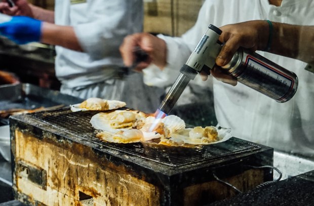 triple-three-mandarin-orchard-hokkaido-harvests-5