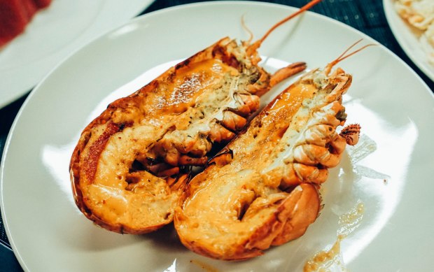 triple-three-mandarin-orchard-hokkaido-harvests-6