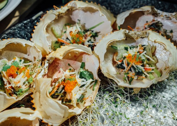 triple-three-mandarin-orchard-hokkaido-harvests-7