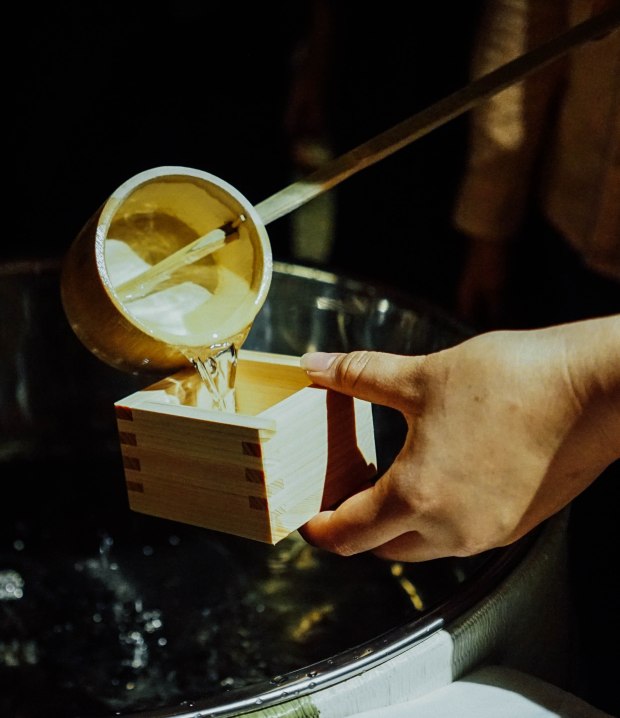 triple-three-mandarin-orchard-hokkaido-harvests-sake-2