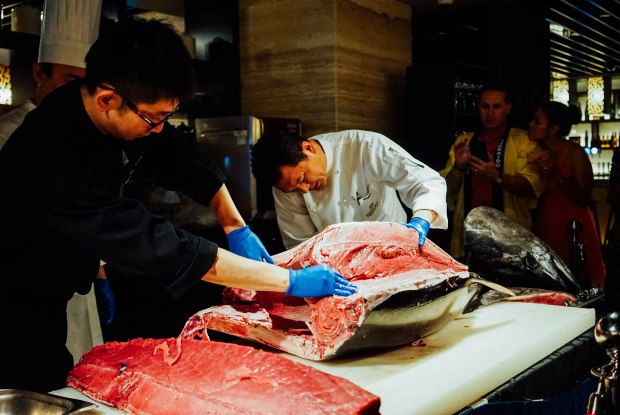 triple-three-mandarin-orchard-hokkaido-harvests-tuna