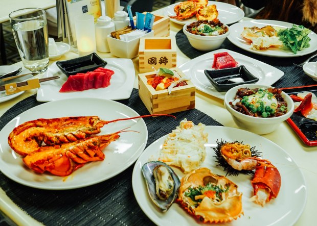 triple-three-mandarin-orchard-hokkaido-harvests