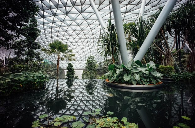 jewel-changi-airport-canopy-park