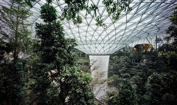 jewel-changi-airport-hsbc-rain-vortex-tiger-street-lab