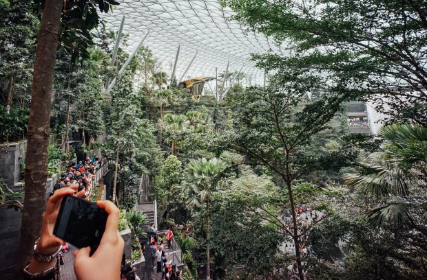 jewel-changi-airport-shiseido-forest-valley