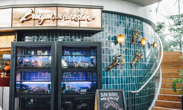 burger-and-lobster-singapore-1