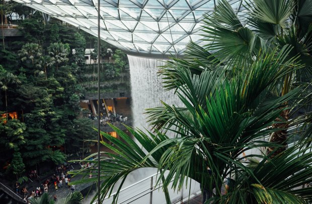 burger-and-lobster-singapore-jewel-changi-airport-hsbc-rain-vortex