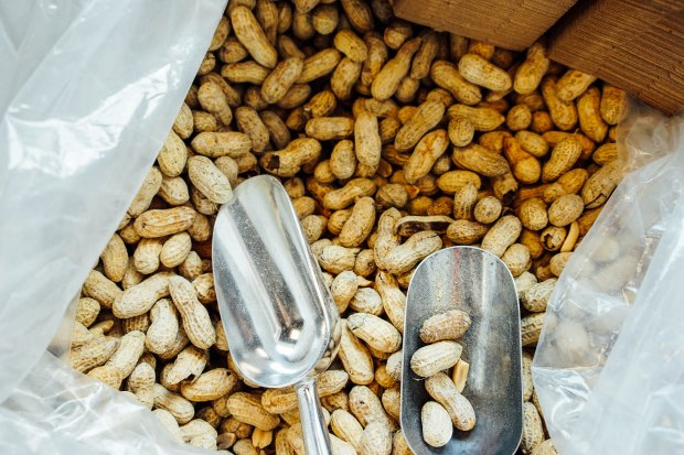 five-guys-singapore-peanuts