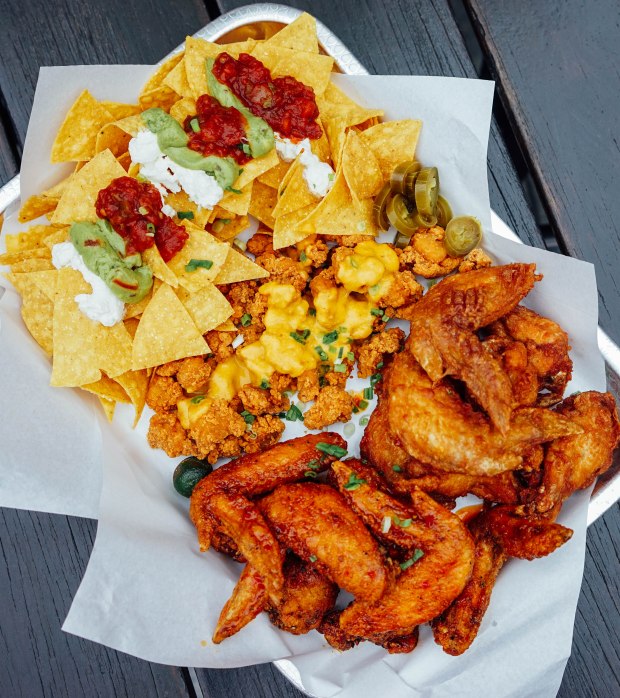 mischief-the-chicken-farm