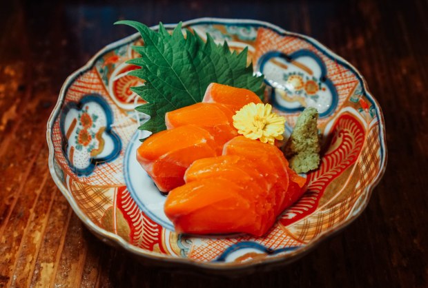 station-front-bar-okura-shiga-sake-sashimi