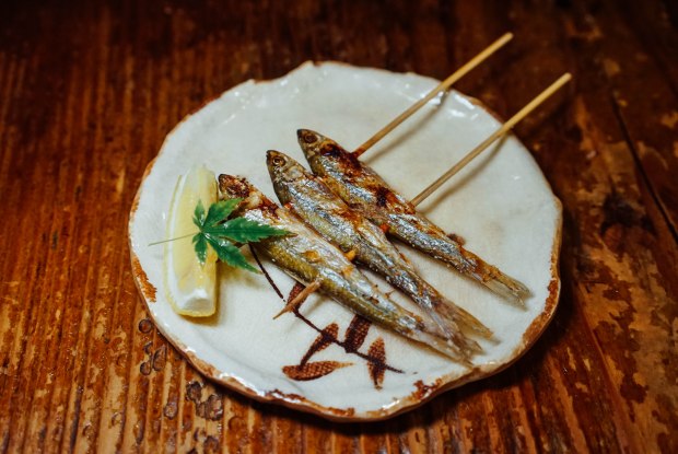 station-front-bar-okura-shiga-skewered-fish-of-biwa