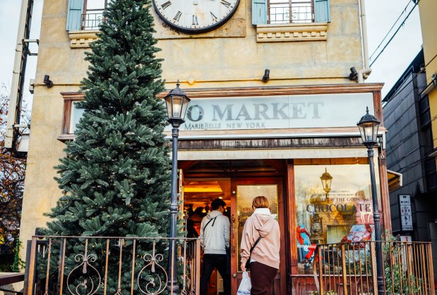 angel-library-cacao-market