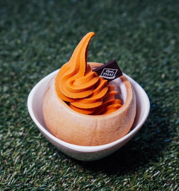 real-thai-ice-milk-soft-serve-in-coconut-husk