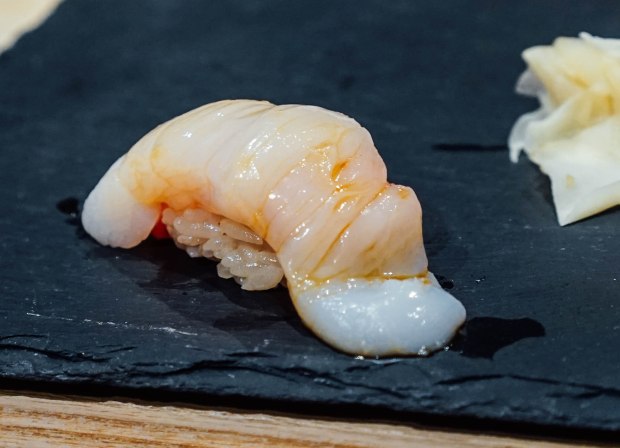 mai-by-dashi-master-marusaya-hotato-and-chutoro-nigiri