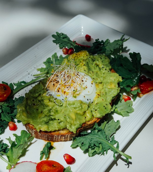 botany-smashed-avocado-toast-2