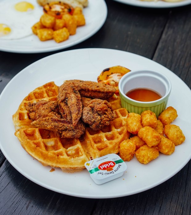 mischief-chicken-and-waffles