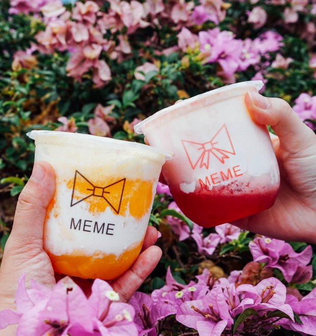 meme-xpress-yogurt-fruity-2