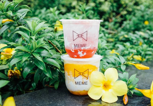 meme-xpress-yogurt-fruity