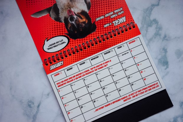 oscas-2021-calendar-2