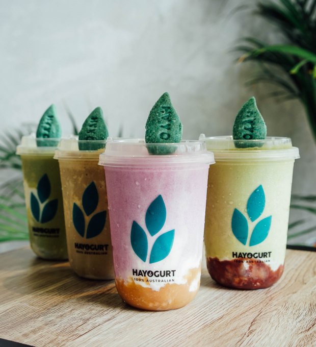 hayo-handcrafted-yogurt-japan-autumn-season-special