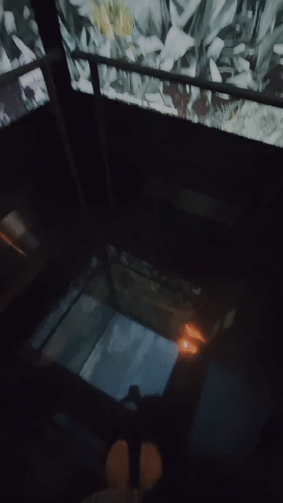 Jurassic-World-Cafe-Elevator