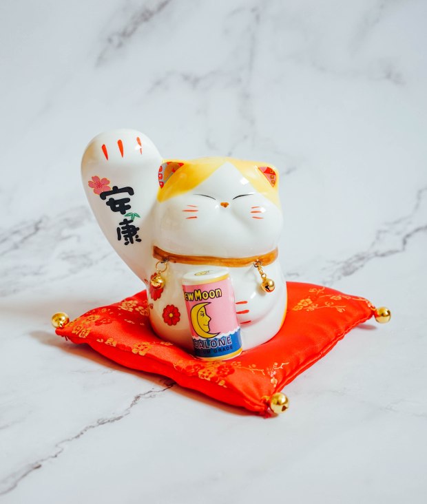 new-moon-limited-edition-cat