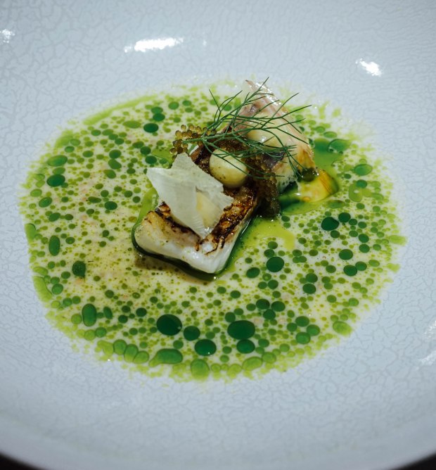 lerouy-Japanese Seabream : Mustard : Leek : Dill