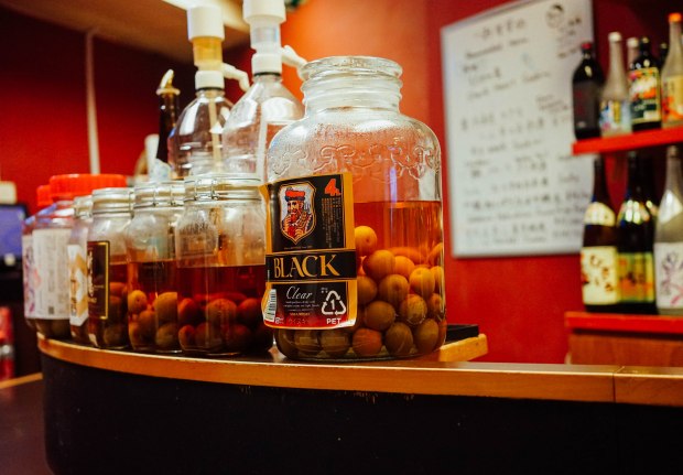 dosukoi-x-donpachi-umeshu