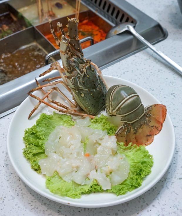 li-ji-chuan-chuan-xiang-lobster