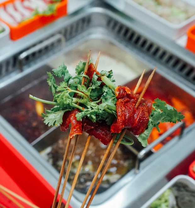 li-ji-chuan-chuan-xiang-pork-with-coriander-skewer
