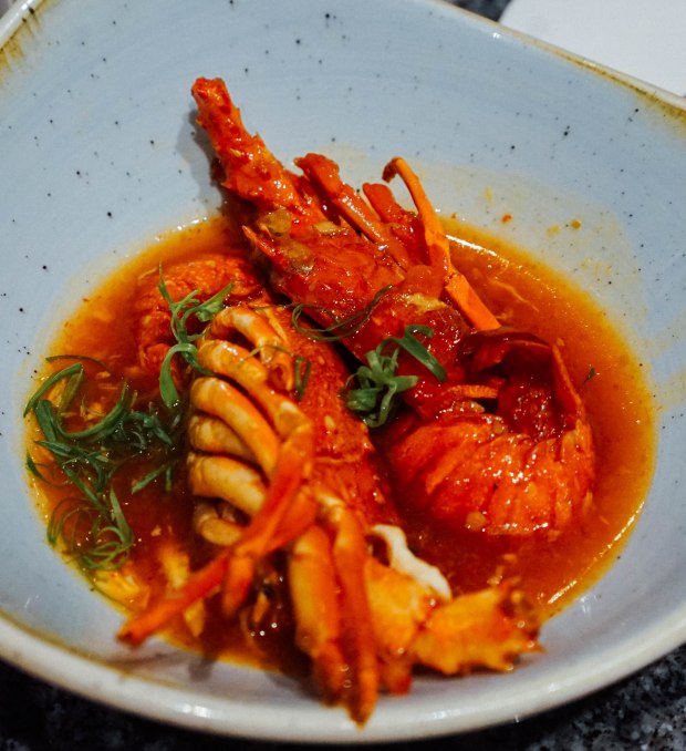 ellenborough-market-cafe-festive-buffet-swissotel-merchant-court-rock-lobster-in-singapore-chilli-crab-sauce