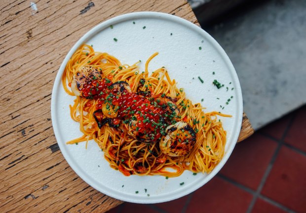 kream-and-kensho-hotate-sakura-ebi-capellini