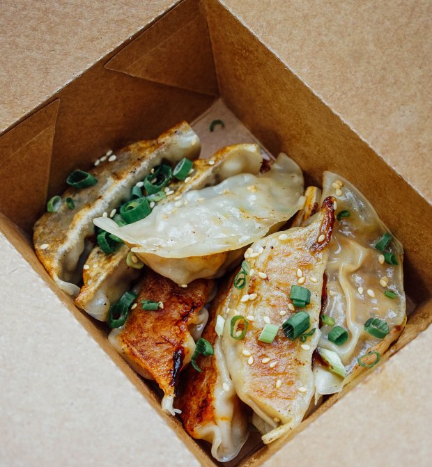 lucky-dumplings-ion-orchard-dumplings