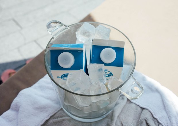 capella-singapore-pool-water