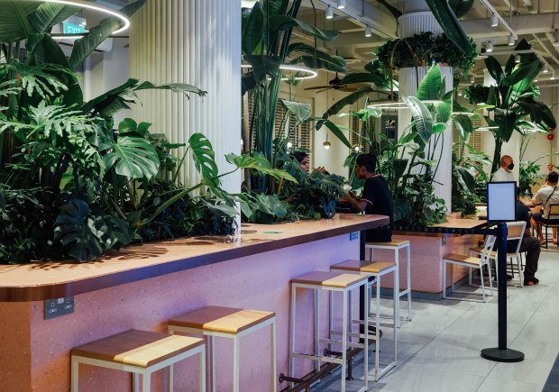 shake-shack-singapore-neil-road