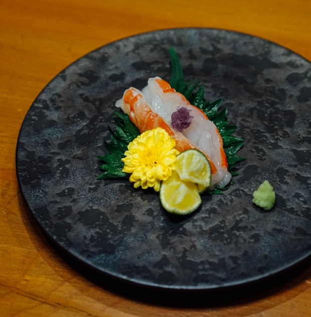 shinsora-omakase-botan-ebi