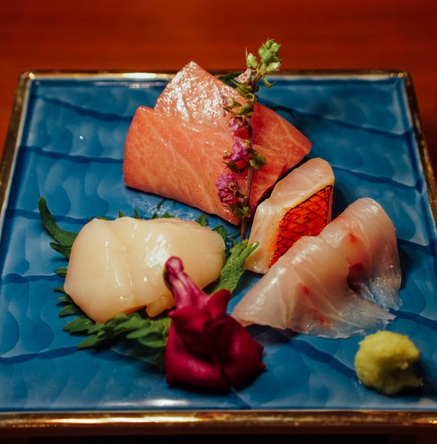 shinsora-omakase-sashimi-3